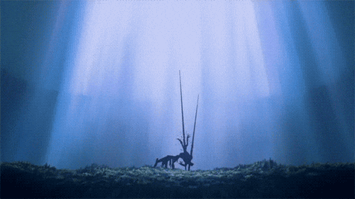 Animation 4